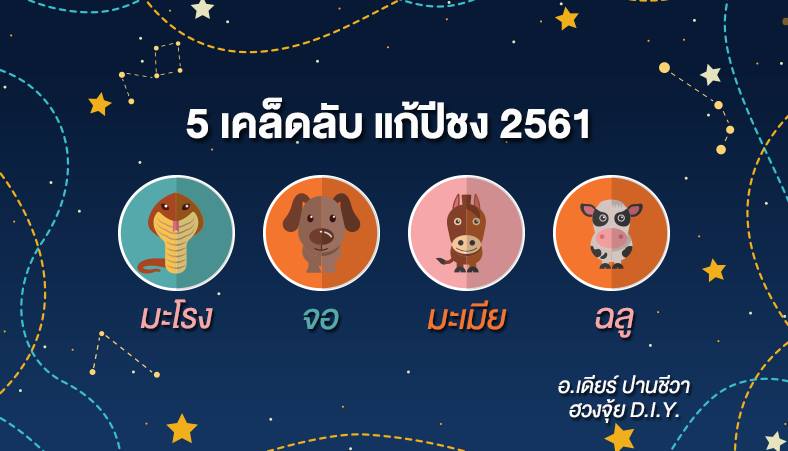 ดูดวง ดูดวง 12 นักษัตร ปีชง แก้ดวงปีชง แก้ดวงปีชง 2561