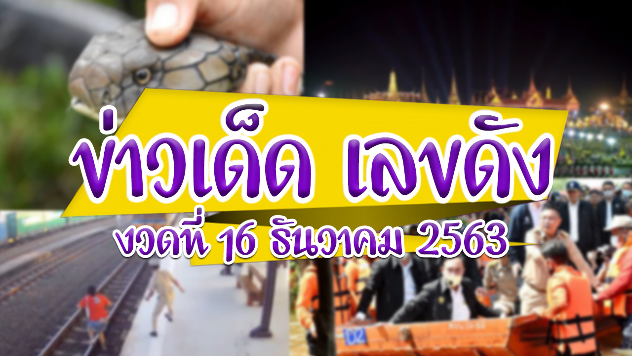 ข่าวงูเข้าบ้าน ข่าวหวย ข่าวหวย 16 12 63 ข่าวหวยไทยรัฐ ตรวจหวย 16 12 63 ทะเบียนนายก ทะเบียนในหลวง ผลหวย 16 12 63 ผลหวยย้อนหลัง รอดตายปฏิหาร เลขดังตามกระแสข่าว เลขอั้น 16 12 63 เลขเด็ด 16 12 63